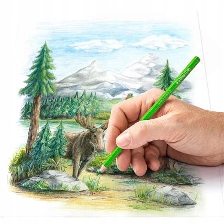 Staedtler pieštukiniai dažai, 24 spalvos