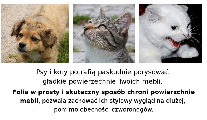 Stamal Lipni apsauginė folija nuo šunų ir kačių įbrėžimų ant baldų durų 152x80