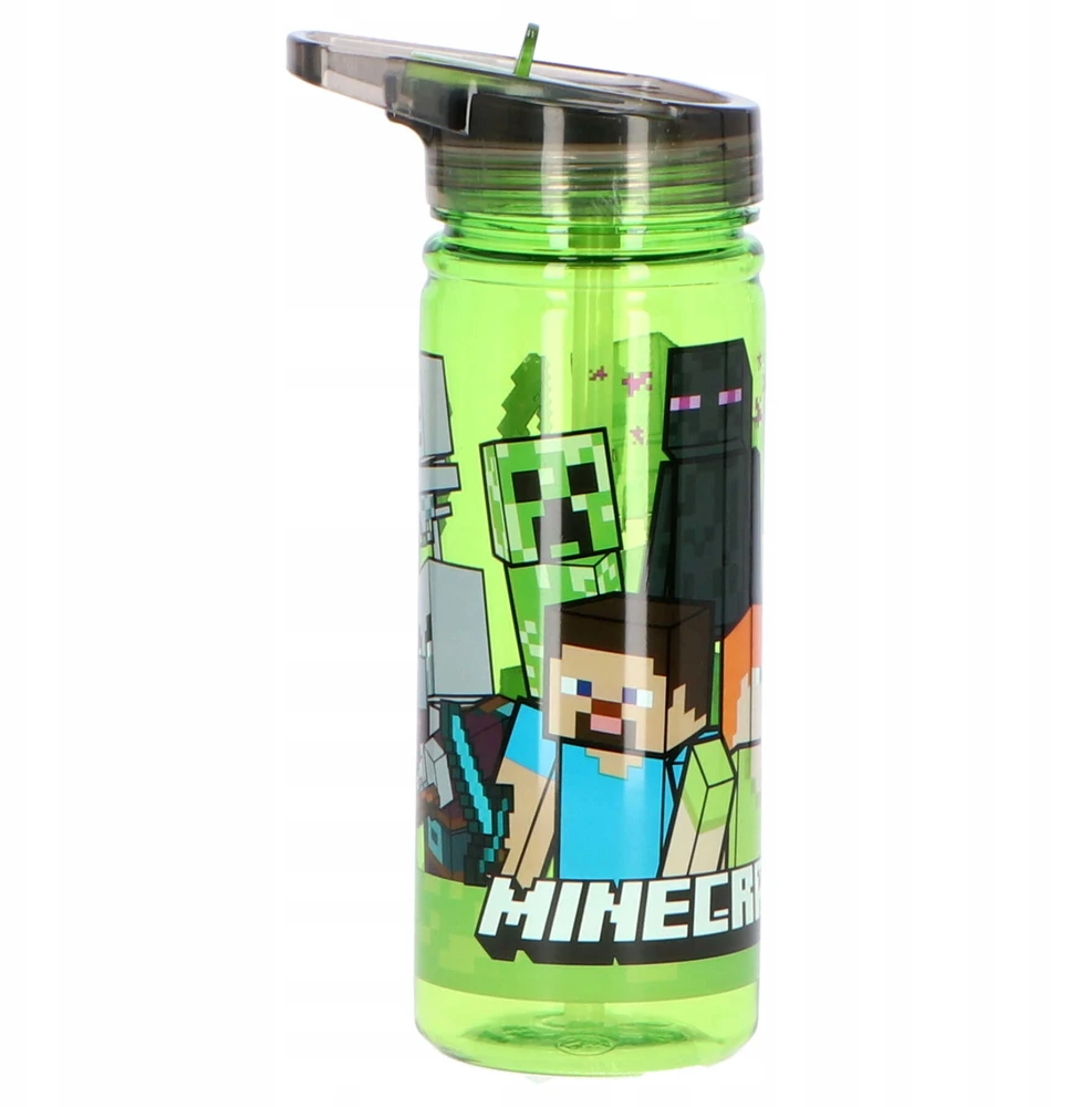 Stor Minecraft Bidonas 580ml - Steve, Alex, Moby
