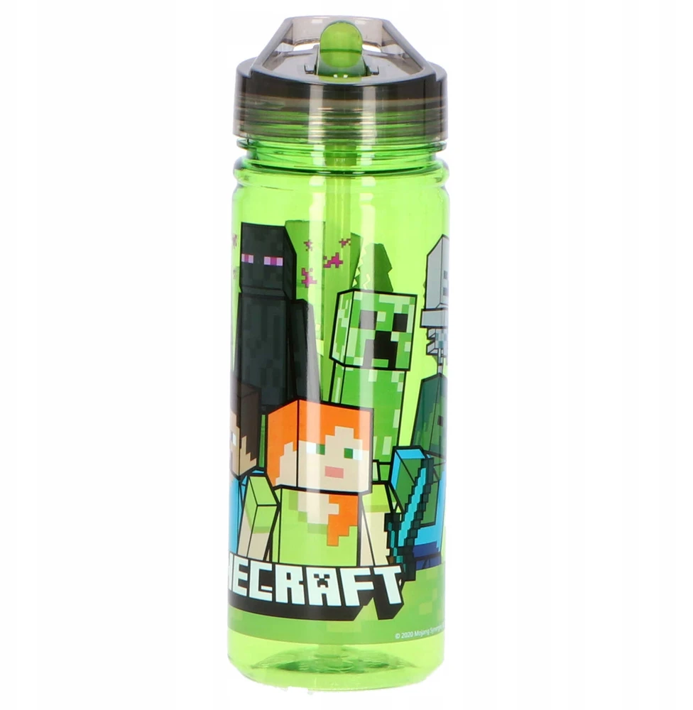 Stor Minecraft Bidonas 580ml - Steve, Alex, Moby