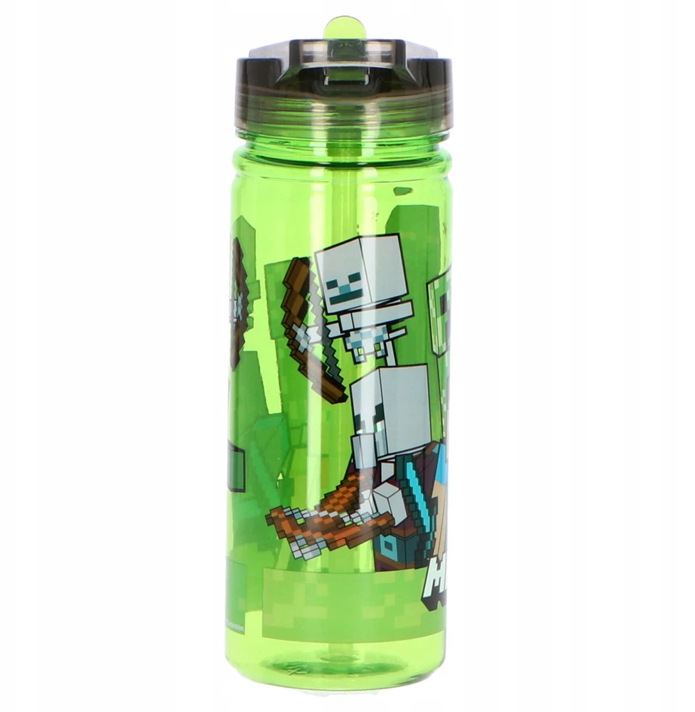 Stor Minecraft Bidonas 580ml - Steve, Alex, Moby