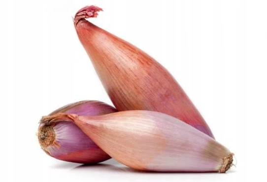 Svogūnų laiškai sodinimui ZEBRUNE 500g