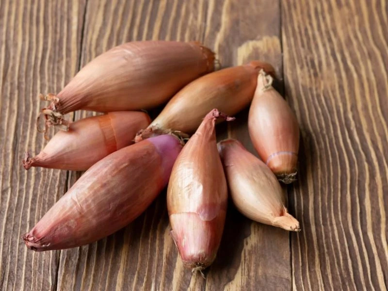 Svogūnų laiškai sodinimui ZEBRUNE 500g