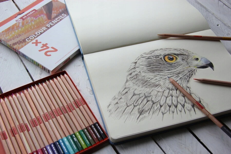 Bruynzeel Sakura Talens Art Creation spalvoti pieštukai, 24 vnt.