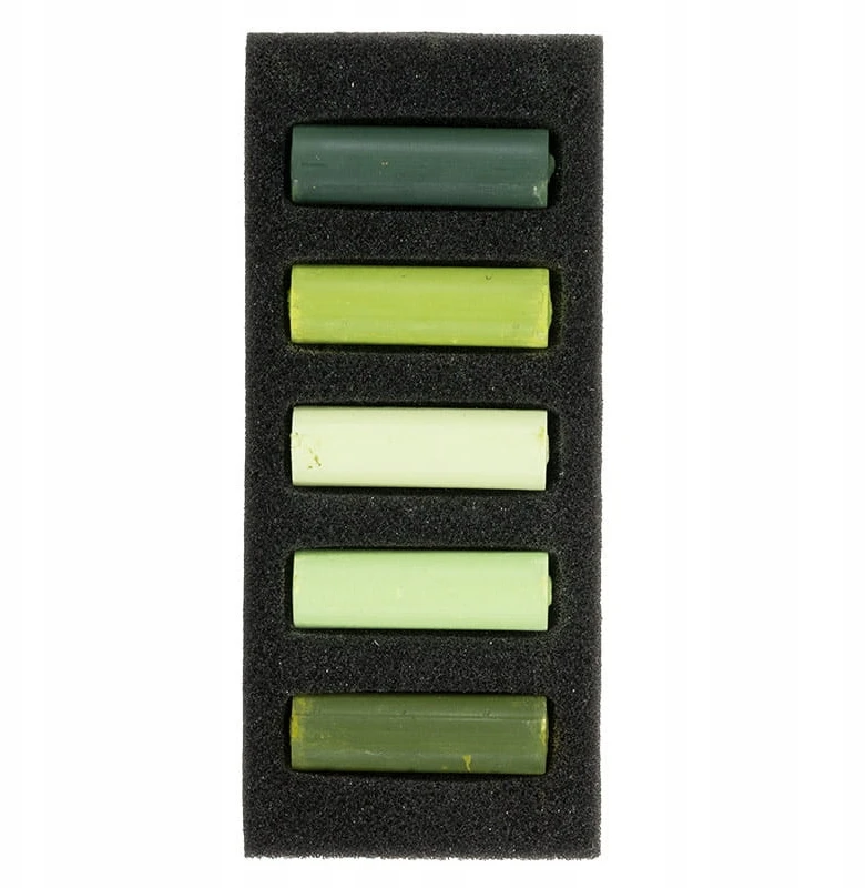 Talens Rembrandt sausų pastelų rinkinys "lush Greens", 5 spalvos