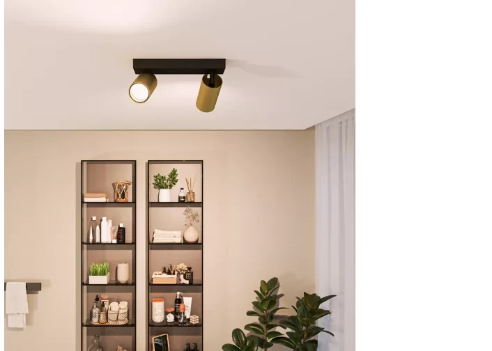 Sieninis šviestuvas Šviestuvas lubų ir sienų Philips Kosipo, 10 W, GU10