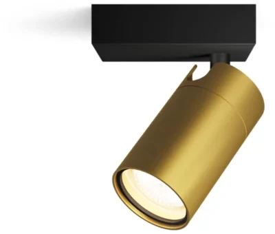 Sieninis šviestuvas Šviestuvas lubų ir sienų Philips Kosipo, 10 W, GU10
