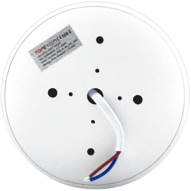 TOPE Lubinis baltas LED šviestuvas "TULSA" 20W