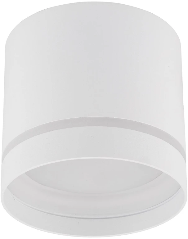 Lubinis šviestuvas Ceiling fixture AERO II, IP20, round, baltas