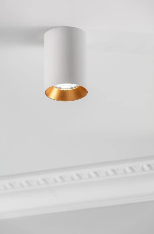 Lubinis šviestuvas Ceiling fixture AERO II, IP20, round, baltas