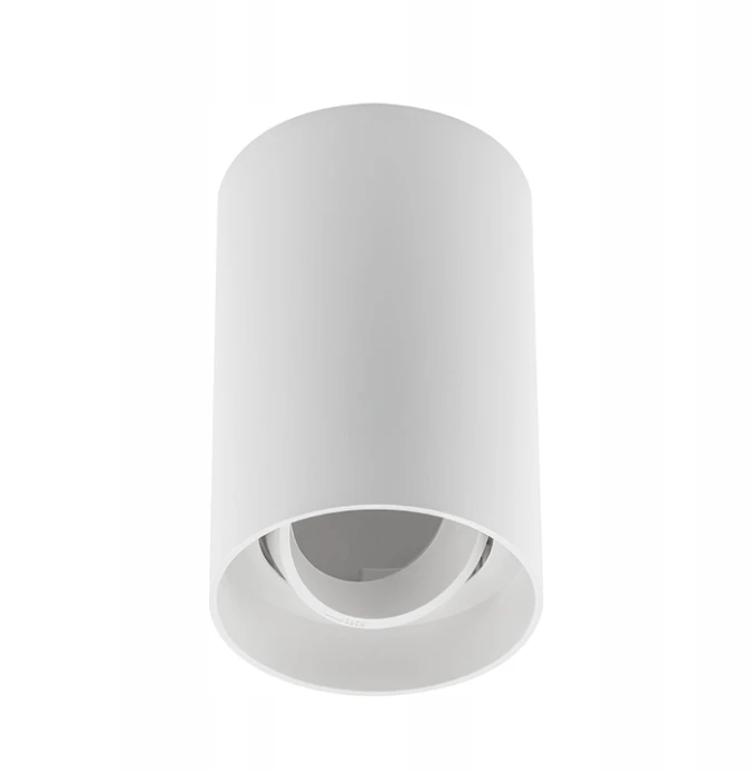 Lubinis šviestuvas Ceiling fixture AERO II, IP20, round, baltas