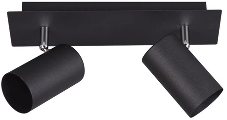 Lubinis šviestuvas Taškinis šviestuvas TRIO MARLEY, 2 x 35 W