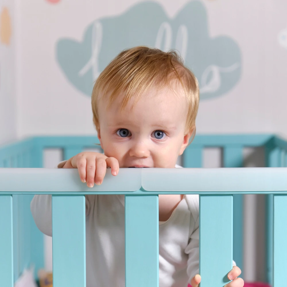 TEETHER lovos užvalkalas MEDICINIS SILIKONIS 3 cm PRINCE LIONHEART dantukas