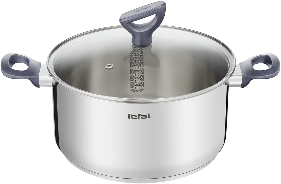 Tefal G7124414 prikaistuvis 2,5 L Turas Nerūdijančiojo plieno
