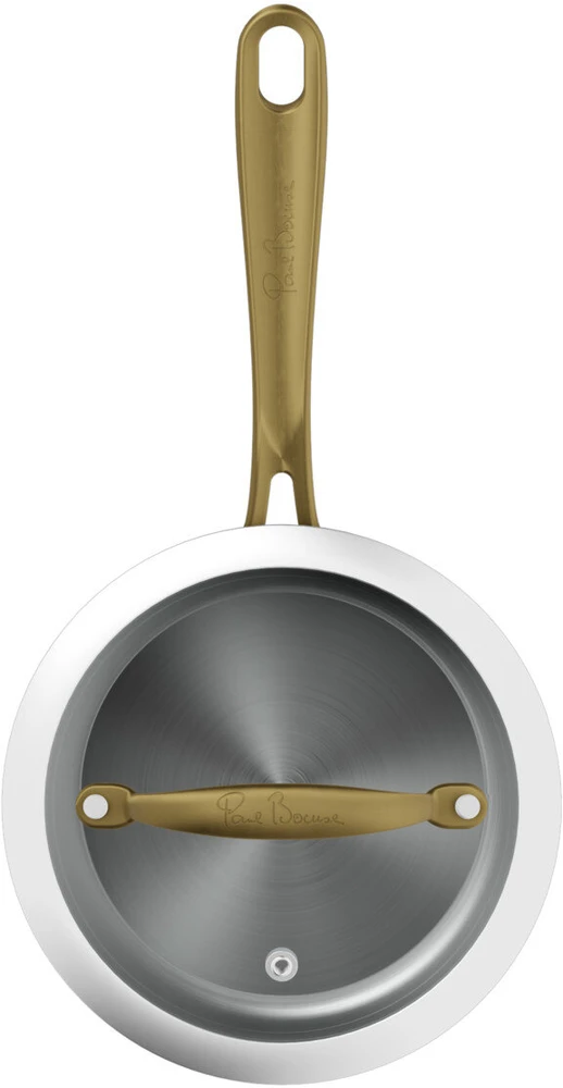 Tefal Paul Bocuse 16 cm nerūdijančio plieno puodas su dangčiu