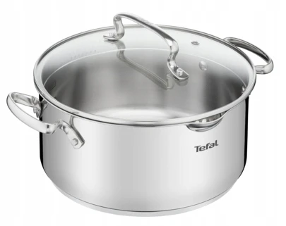 Tefal TRADICINIS NERŪDIJANČIO PLIENO NELIPAUS PUODAS 2,9L 20cm
