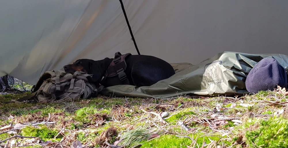 Termo antklodė su gobtuvu Bushmen, 2x1.4 m, žalias