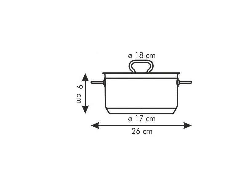 Tescoma puodas su dangčiu, 18 cm, 2 l