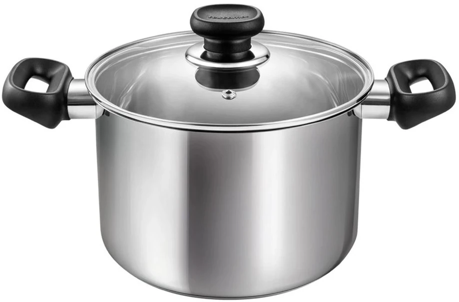 Tescoma Puodas su dangčiu 20cm 4l