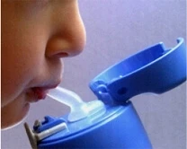 Thermos vaikiškas termokubilas su šiaudeliu 0,36l
