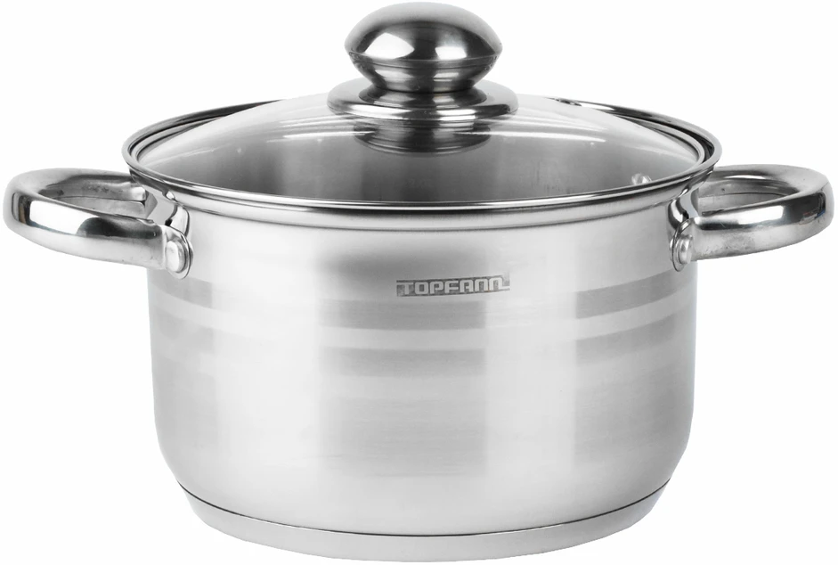 Topfann NENERŪDIJAVUS PUODAS 22 CM SU STIKLINIU dangteliu 4 L