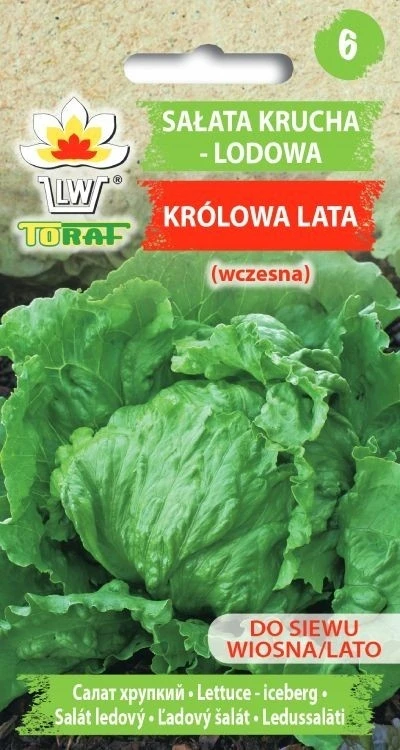Toraf salotos, vasaros karalienė, 1 g ankstyvos