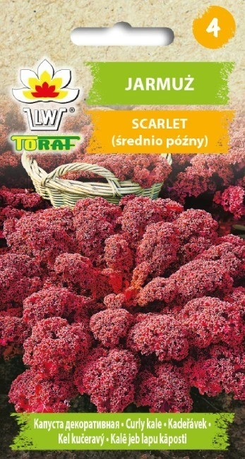 Toraf Scarlet lapinių kopūstų sėklos 1g