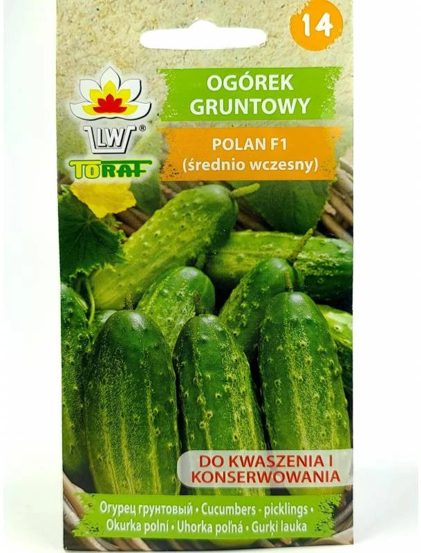 Toraf sėklos lauko agurkas POLAN F1 g
