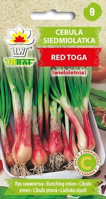 Toraf sėklos, raudonieji togos svogūnai, 1 g