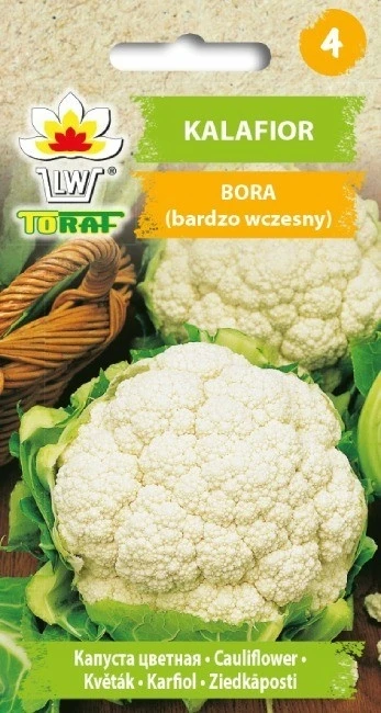 Toraf žiedinių kopūstų sėklos Bora 1g