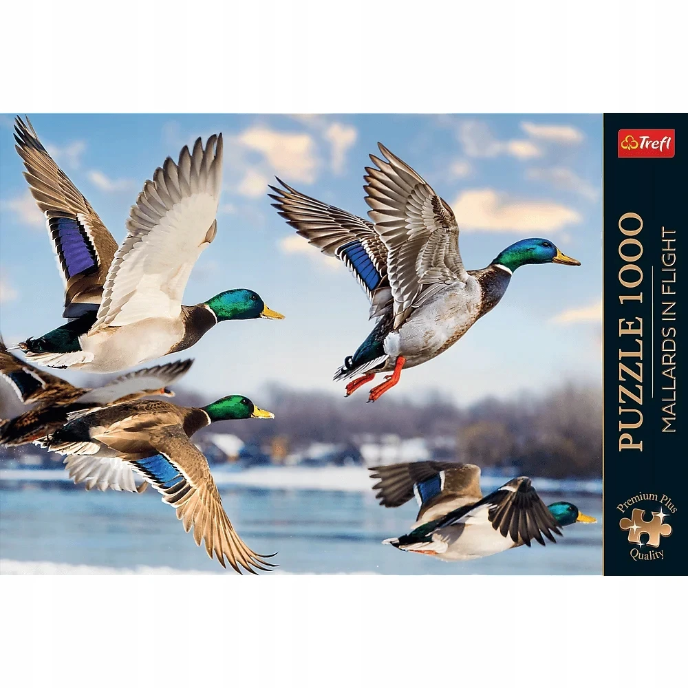 Dėlionė Trefl Puzzle Premium Plus Quality 1000 vnt. Didžiosios antys skrydžio metu