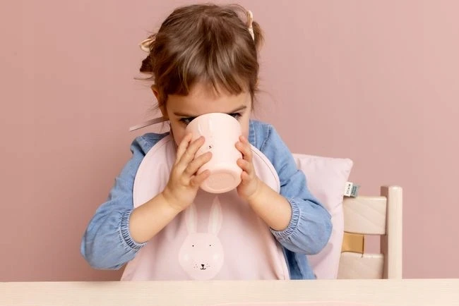 TRIXIE vandeniui atsparūs seilinukai, 2 vnt., su kišene kūdikiams 6m+