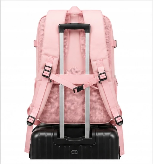 Turistinė kuprinė 40x30x20 cm Ryanair WIZZAIR Skrydžio bagažas