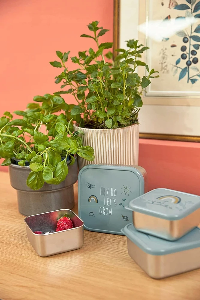 Užkandžių indeliai Lassig Garden Explorer nerūdijančio plieno rinkinys, 3 vnt.