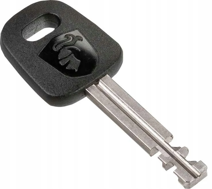 Užrakinimo grandinė - AXA - Absolute Chain Lock 9-110 - Plienas - 110 cm - ART-2