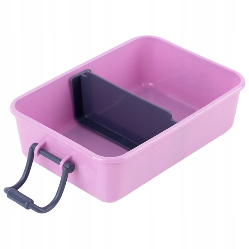 Vaikiškas maisto dėklas Kite su skyreliais, 650ml, violetinis