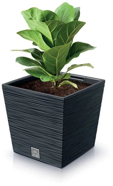 Prosperplast Vazonas FURU SQUARE LOW su įdėklu 10/7,5 L 240x240x235 mm antracito sp. Prosperp