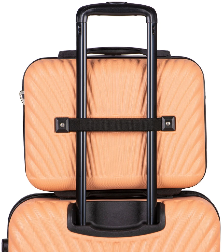 Vidutinis Lagaminas Wings Swan 24" Ledų