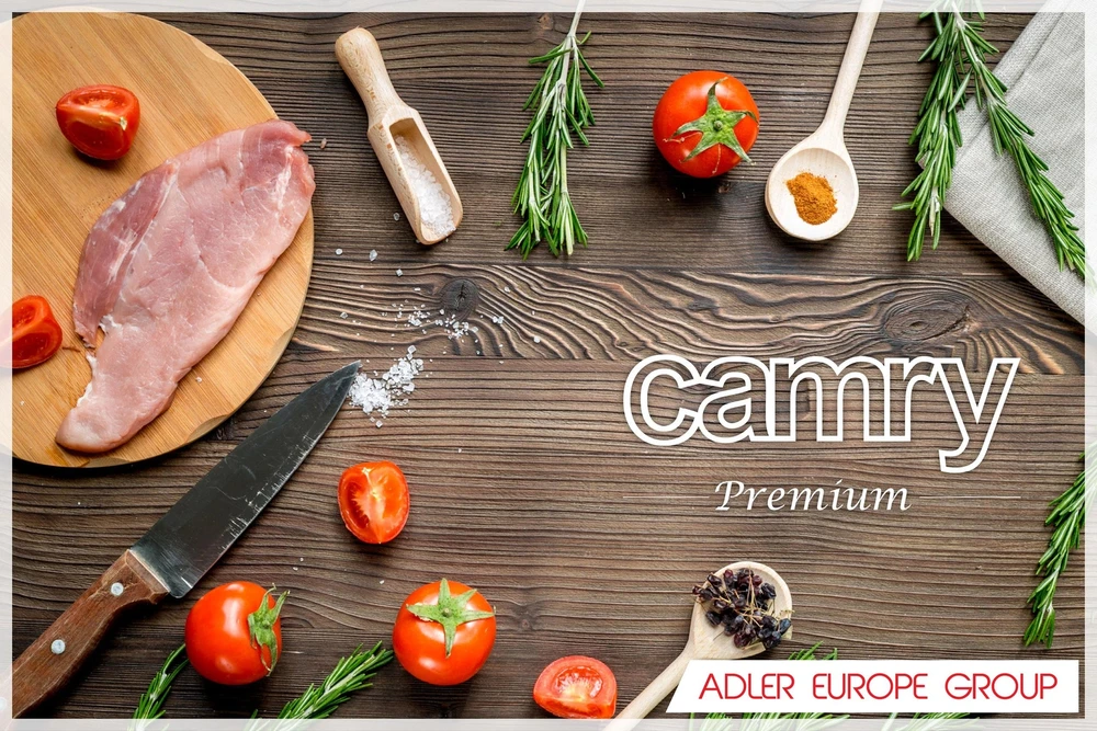 Camry | CR 6510 | Degiklių / virimo zonų skaičius: 1 | Sukamoji rankenėlė | Elektrinė | Nerūdijantis plienas