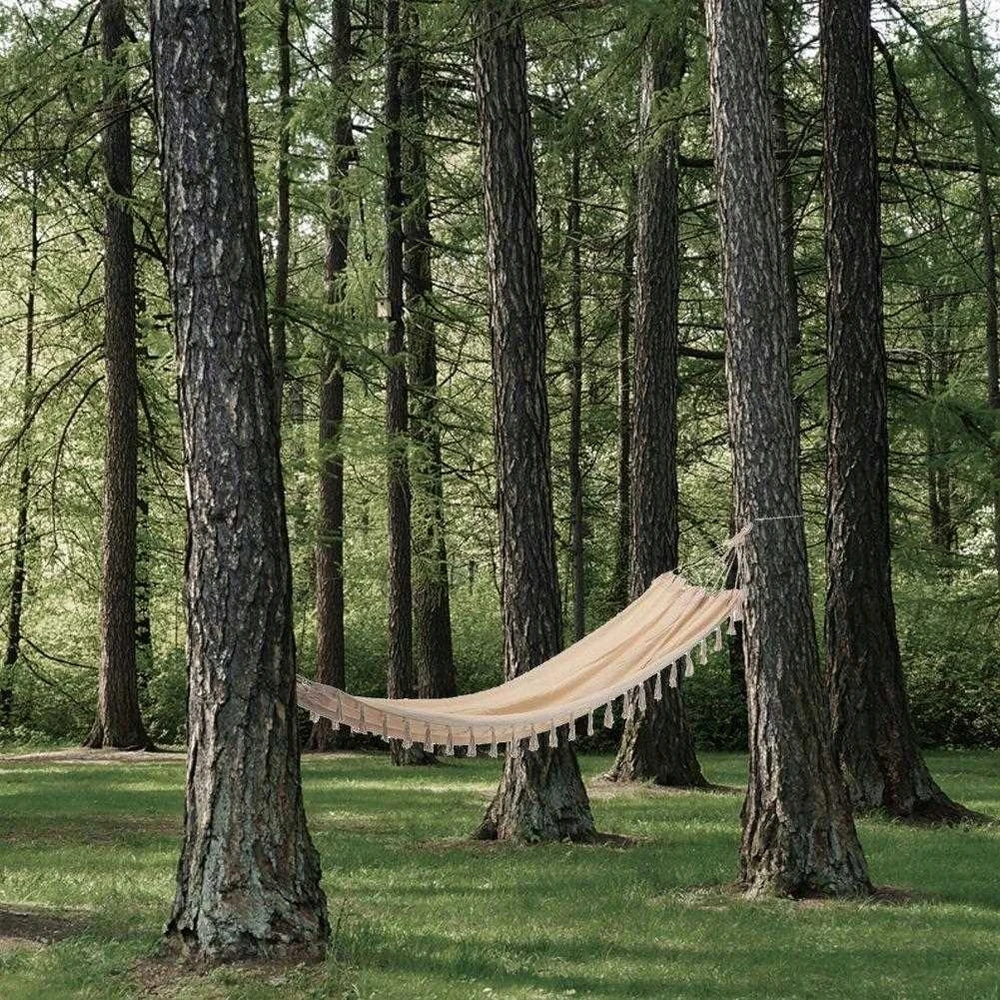 ProGarden Sodo hamakas smėlio spalvos viengulis 200x100 cm