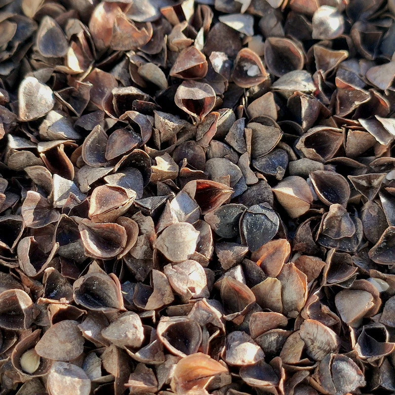 None Nežinomas Agrodanga, universali, ruda, 150g/m2, 1 x 2.4 m