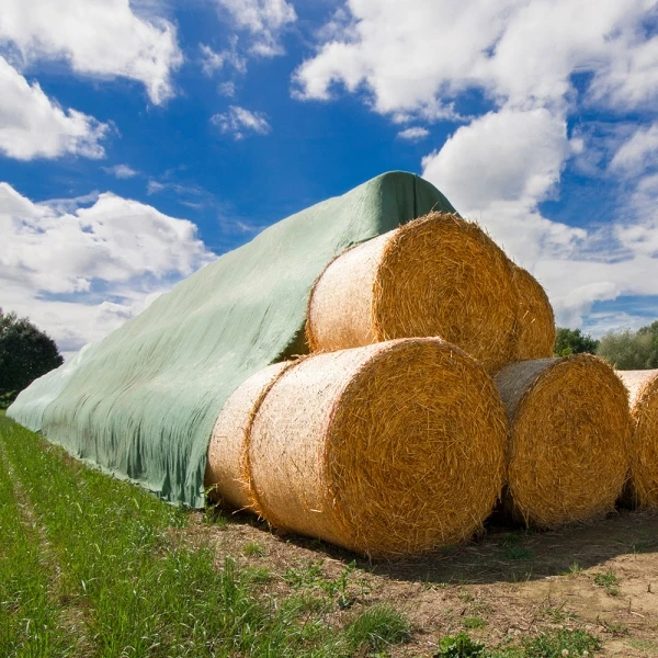 Visiems sezonams skirta plokštė HAY STRAW 10,4x25 THICK 145g UV+ dangai