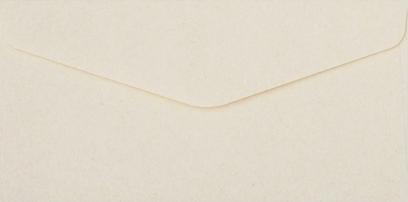 Galeria Papieru Vokai 160x160mm NATURE 10vnt šv rudi