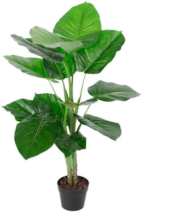 Home4You Žalias augalas POTHOS H90cm