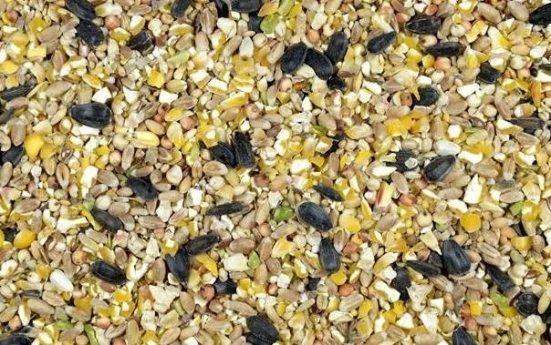 Žiemojančių laukinių paukščių lesalas 10 kg