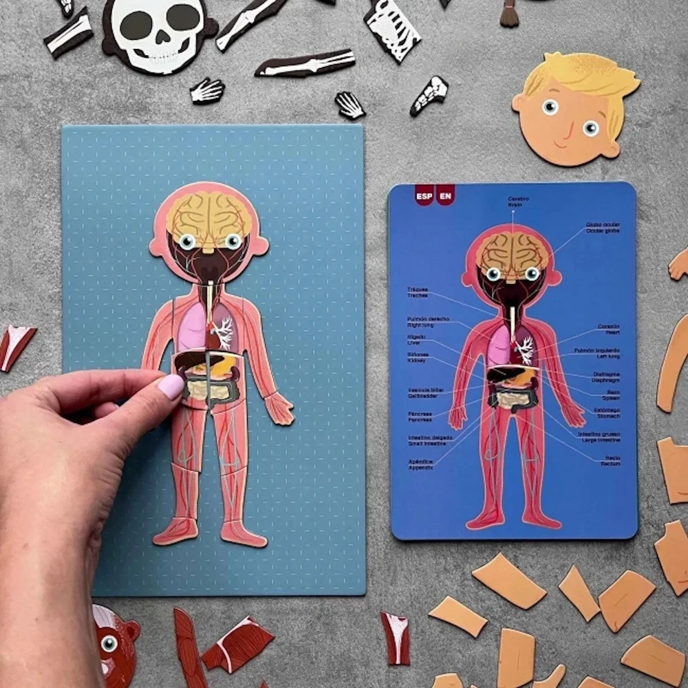 Apli Kids Magnetinis žaidimas-dėlionė „Žmogaus kūnas”