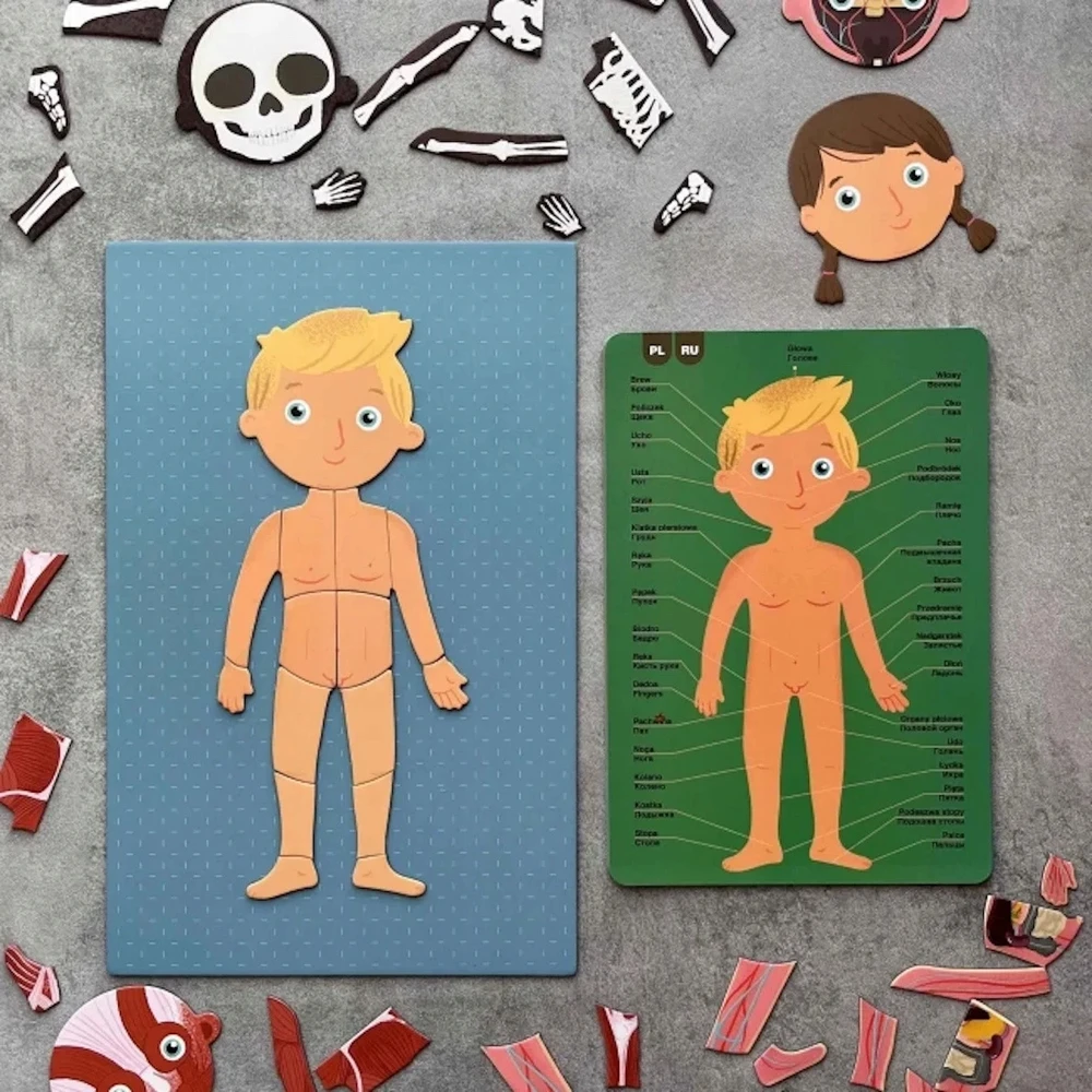 Apli Kids Magnetinis žaidimas-dėlionė „Žmogaus kūnas”
