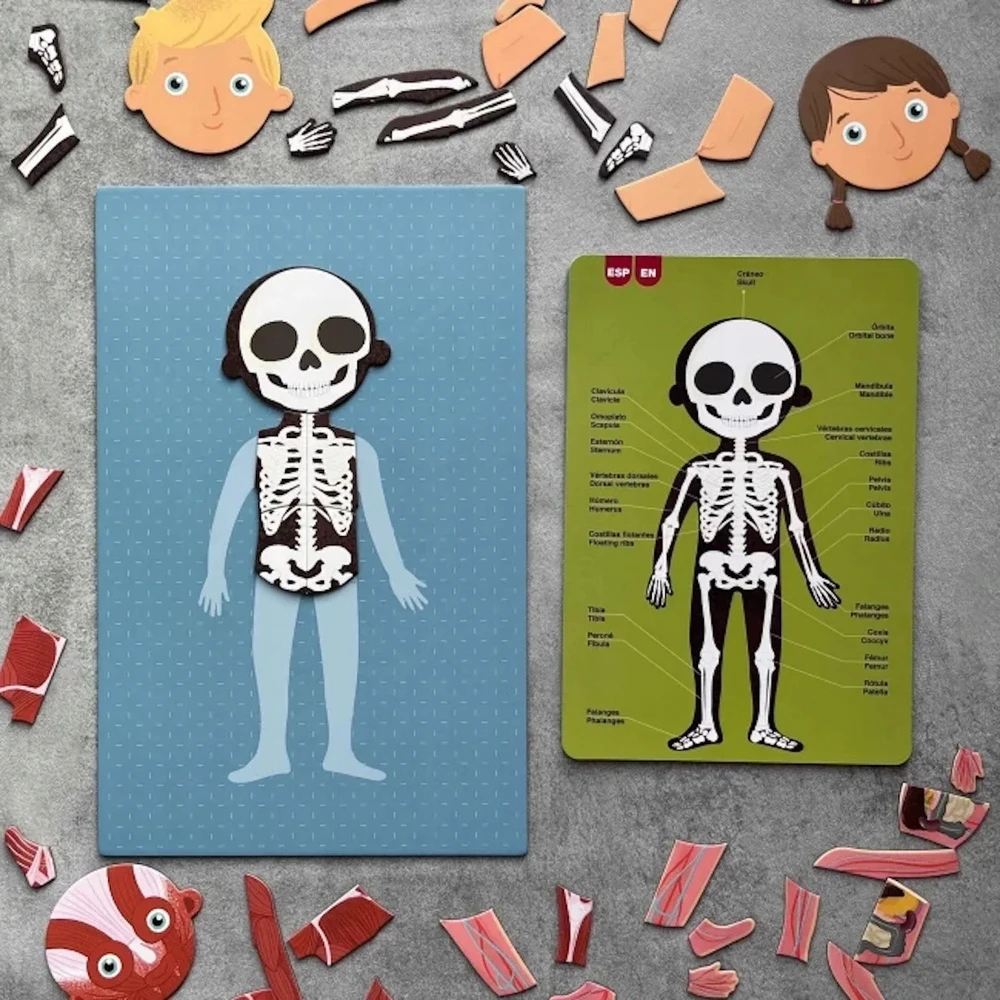 Apli Kids Magnetinis žaidimas-dėlionė „Žmogaus kūnas”