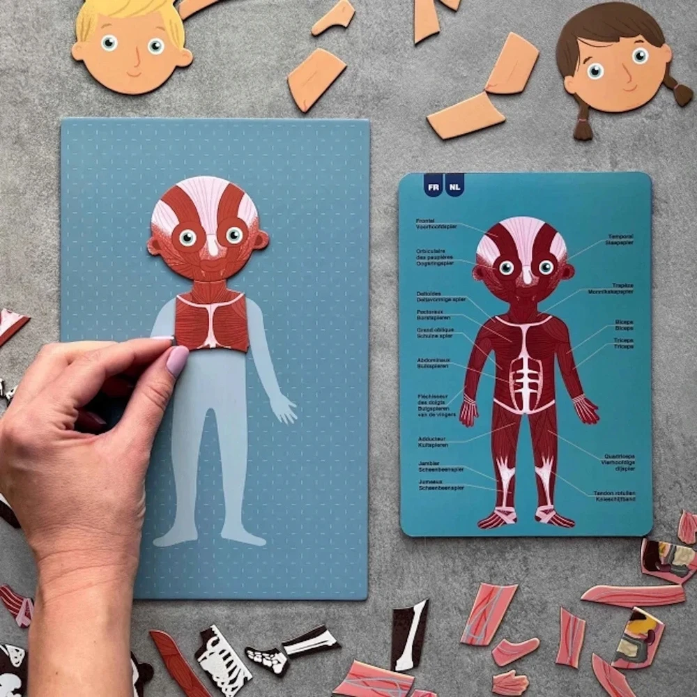 Apli Kids Magnetinis žaidimas-dėlionė „Žmogaus kūnas”