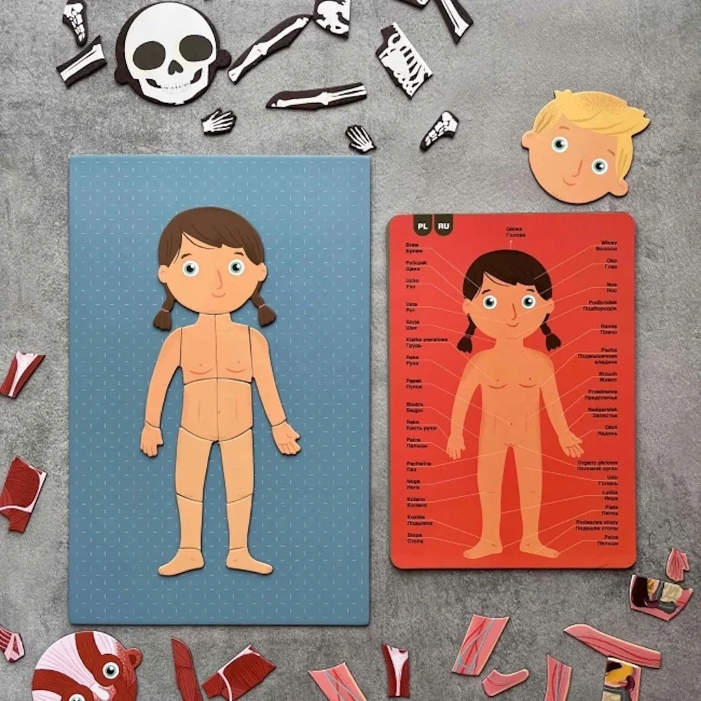 Apli Kids Magnetinis žaidimas-dėlionė „Žmogaus kūnas”